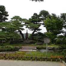 七福神山の巣ごもり松