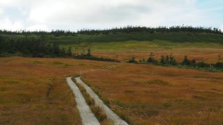 楽しい木道歩き