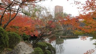 着物を着た若い女性が記念撮影をしていたのも印象に残りました。