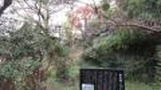 素人では判読できない程に風化していました。