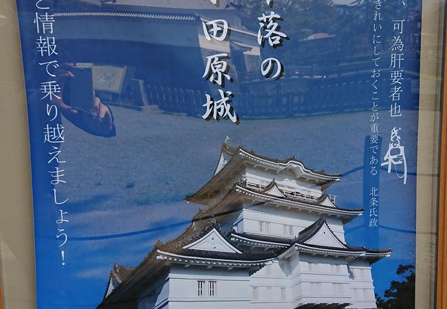 小田原桜まつり クチコミ アクセス 営業時間 小田原 フォートラベル