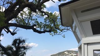 花の綺麗なお庭。