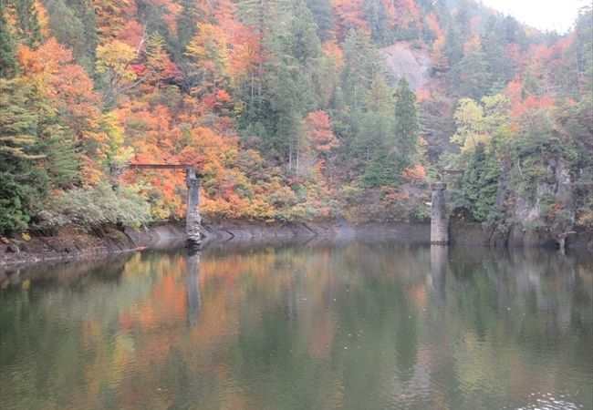 紅葉が素晴らしかったです