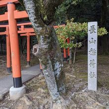 鳥居が目立っていました