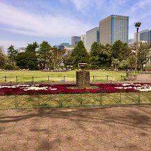 奥に高層ビル群