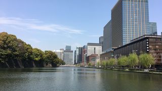 江戸城内濠の一部