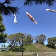 古墳もあるいい公園、玉川野毛町公園