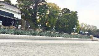 一般参賀で渡ってみたい