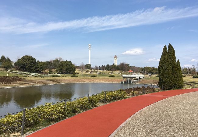 とにかく広い公園。