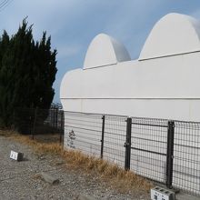 とこにゃんの裏側