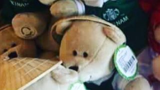 スターバックス コーヒー (レックスホテル店)