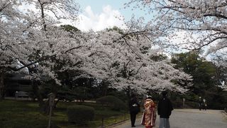 桂坂入り口入ってすぐ