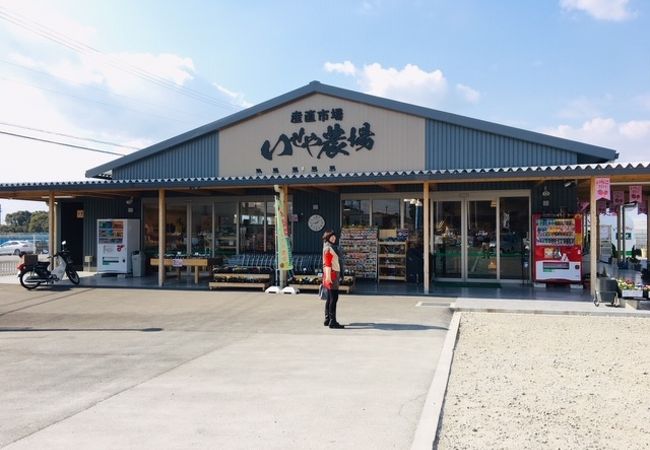 鳴門のお土産屋 直売所 特産品 クチコミ人気ランキングtop4 フォートラベル 徳島県