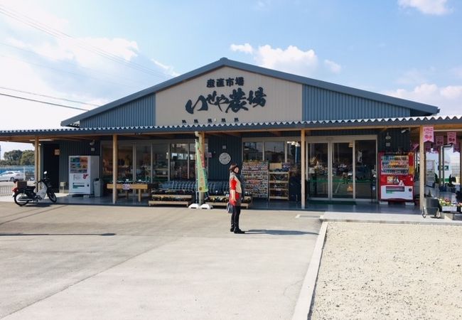 産直市場 いせや農場