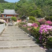 地元で有名な「さつき寺」