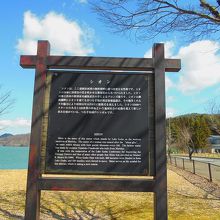 シオンの説明板です。