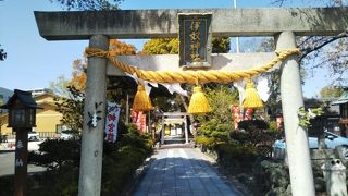 見どころの多い神社です