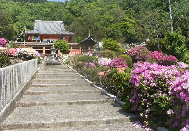 地元で有名な「さつき寺」