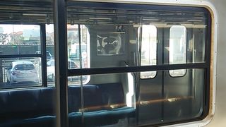 2019年11月17日の和田浦14時29分発普通列車安房鴨川行きの様子について