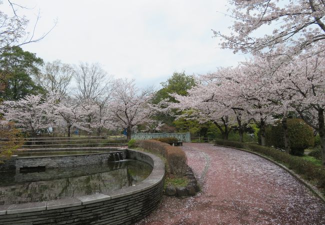 城山公園 クチコミ アクセス 営業時間 佐野 フォートラベル