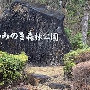 きれいな森林公園