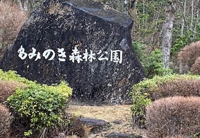 きれいな森林公園