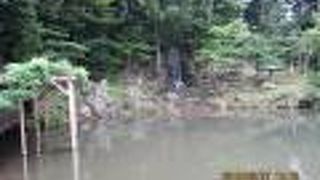 ひょうたん型の池