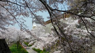 津山さくらまつり