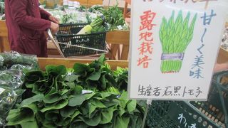 地元野菜や花苗を売る人気のお店