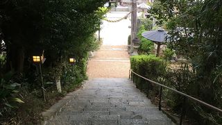 階段から鳥居の風景が良い