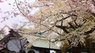 浅間神社 (大和市)