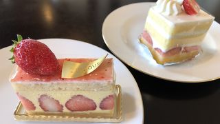 期待のニューオープンです。