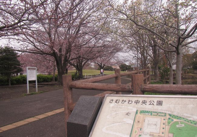 さむかわ中央公園 クチコミ アクセス 営業時間 茅ヶ崎 フォートラベル さむかわ中央公園 クチコミ アクセス 営業時間 茅ヶ崎 フォートラベル