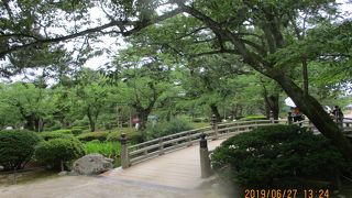 曲水にかかる木橋