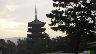 高さ５０メートルに及ぶ奈良を象徴する仏塔建築の五重塔