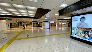 新型コロナ流行中に見た東京駅。