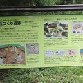 浜山玉造り遺跡