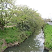 新坂川沿いの遊歩道 By タビガラス 新坂川緑道のクチコミ フォートラベル