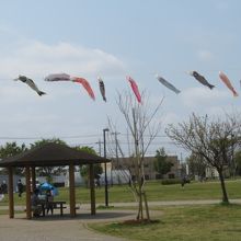 広場には鯉のぼりがありました