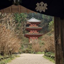 コンパクトに魅力が詰まったお寺だ