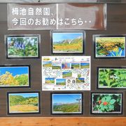 自然園の動植物や地形に関する資料の展示、ボルダリングなどのアクティビティーもあるビジターセンター