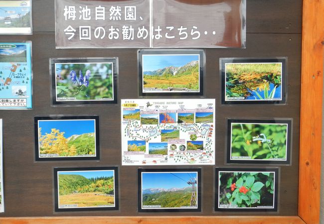 自然園の動植物や地形に関する資料の展示、ボルダリングなどのアクティビティーもあるビジターセンター