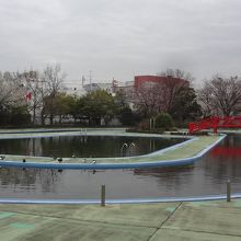 水道道を渡ると昔、菊名池の一部が、今、プールに。