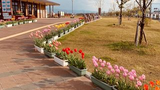 唐古・鍵遺跡史跡公園は 弥生の風景