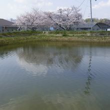 テラスから見える池に映る水鏡が楽しい♪