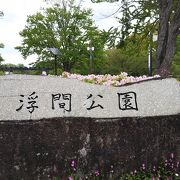 駅前にこんな広い公園が在るって凄い