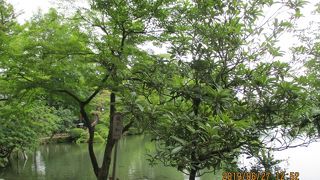 霞ヶ池池畔の岩場