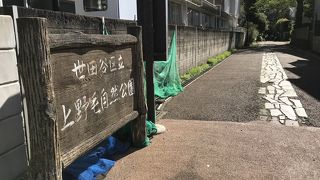 階段遊歩道の上野毛自然公園へ