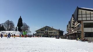 雪質がよく、近くに温泉街もあって、家族連れで賑わっていました。お昼は白樺でいただきました。