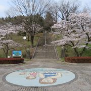 セメントの街の桜の名所